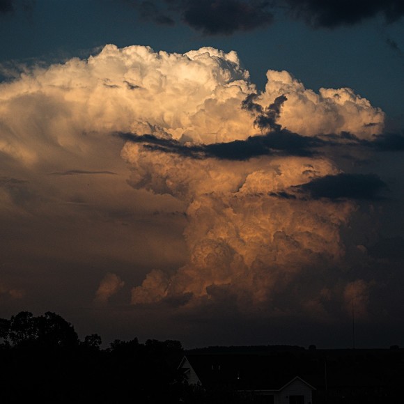 Hello! - Picture 1 of 1